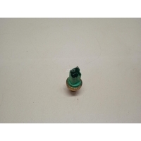 Датчик температуры BSG Auto Parts (BASBUG) 1007 (2005 - 2009) BSG30840029