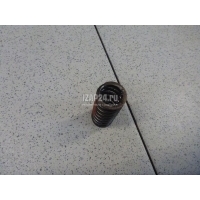 Пружина клапана Renault Espace IV (2002 - 2014) 8200317145