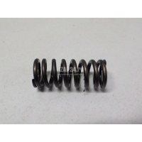 Пружина клапана Renault Espace IV (2002 - 2014) 8200317145