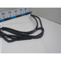 Уплотнитель двери Hyundai-Kia Sportage (2004 - 2010) 831401F000