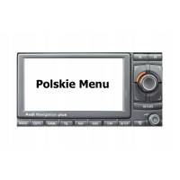 Iny rns-e польские меню язык польский audi