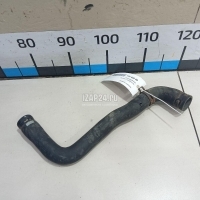 Патрубок радиатора Renault Scenic II (2003 - 2009) 8200335740