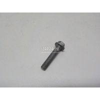 Болт Renault Scenic (1999 - 2003) 7703002942