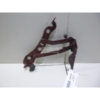 Петля крышки багажника Volvo S60 (2000 - 2009) 30779936