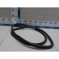 Уплотнитель двери VAG Passat [B6] (2005 - 2010) 3C5867913C5AP