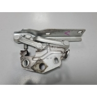 Петля капота левая VAG Passat [B6] (2005 - 2010) 3C0823301D
