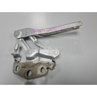 Петля капота правая VAG Passat [B6] (2005 - 2010) 3C0823302D