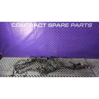 Проводка двигателя Peugeot 307 2004 9656738880