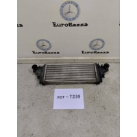 Интеркулер Mercedes W164 Mercedes W164 ML 2005-2011 A1645001900