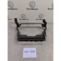 Накладка радиатора Mercedes W164 Mercedes W164 ML 2005-2011 A1645000916