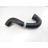 Патрубок BMW 5 E39 (1995-2003) 2001 13717786034, 7786034