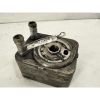 Теплообменник Volkswagen Passat B5+ (GP) 2004 021b