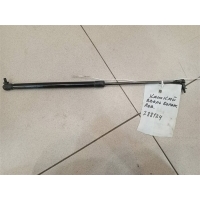 Амортизатор двери багажника Nissan Qashqai J11 2013> 2019 904504EA0A