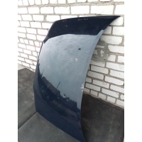 Капот 1 2003