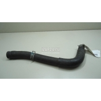 Патрубок радиатора Toyota Corolla E12 (2001 - 2007) 1657122160