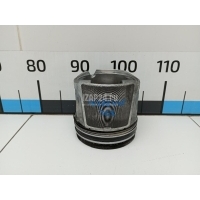 Поршень MAN 4-Serie TGA (2000 - 2008) 51025006287