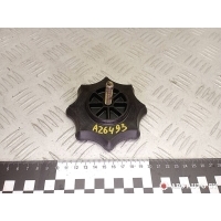 Крепление запаски Skoda Roomster 2008 1J0803899L
