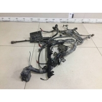 Проводка (коса) Ford Ford Fusion (JU) 2002-2012 1424816, 1449886