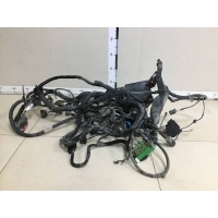 Проводка (коса) Ford Ford C-MAX 2003-2010 1364802