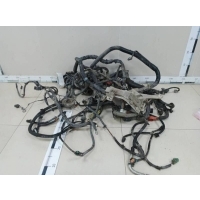 Проводка (коса) Nissan Nissan Tiida (C11) 2007-2014 24012EM56E