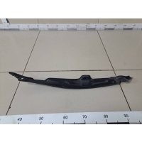 Пыльник (кузов наружные) Hyundai Hyundai Elantra (MD) 2011-2016 841163X000
