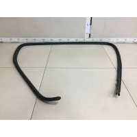 Уплотнитель проема двери задней левой Toyota Toyota Camry (V40) 2006-2011 6233233090E0