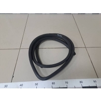 Уплотнитель проема двери передней правой Toyota Toyota Camry (V40) 2006-2011 6231133070B0