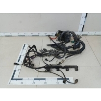 Проводка (коса) Ford Ford Fusion (JU) 2002-2012 1517147