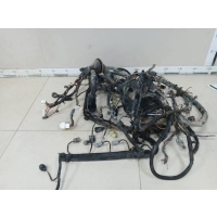 Проводка (коса) Kia Kia Cerato (TD) 2009-2013 914041M070