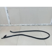 Уплотнитель (Наружный) Ford Ford Mondeo 3 2000-2007 1320859