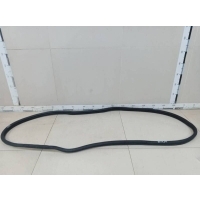 Уплотнитель проема двери передней правой Ford Ford Mondeo 3 2000-2007 1383580