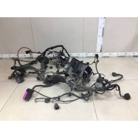 Проводка (коса) Skoda Skoda Octavia (A7) 2013> TAB019299H