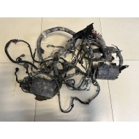 Проводка (коса) Nissan Nissan Almera Classic (B10) 2006-2013 2401295F0A