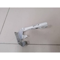 Петля капота правая Nissan Nissan Almera Classic (B10) 2006-2013 6541195F0B