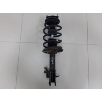 Амортизатор передний левый Nissan Nissan Almera Classic (B10) 2006-2013 5430395F0B