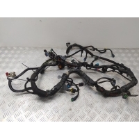 Проводка двигателя Peugeot 307 2007 9664694980