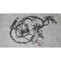 Проводка двигателя Ford Focus III (2011-2014) 2012