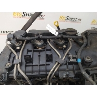 Форсунка Citroen C4 Picasso 2006 0445110259