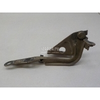 Петля капота правая Toyota RAV 4 (2006 - 2013) 5341042060