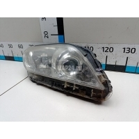 Фара правая Toyota RAV 4 (2006 - 2013) 8113042501