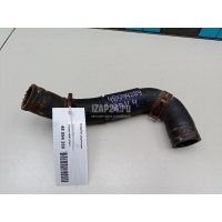 Патрубок радиатора Toyota RAV 4 (2006 - 2013) 1605737010
