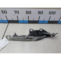 Петля капота правая Volvo S80 (2006 - 2016) 31250186