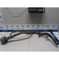 Горловина топливного бака Nissan Qashqai (J10) (2006 - 2014) 17221JD000