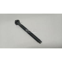 Болт головки блока Citroen-Peugeot Evasion (1994 - 2002) 0204A6