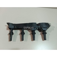 Рампа (кассета) катушек зажигания FENOX Berlingo (M59) (2002 - 2012) IC16062