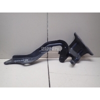 Петля капота левая Nissan X-Trail (T31) (2007 - 2014) 65401JG000