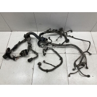 Проводка (коса) Nissan X-Trail (T31) (2007 - 2014) 24012JU02B
