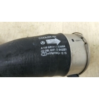 Патрубок интеркулера MERCEDES-BENZ GLS X166 11/2015 - 04/2019 2018 A1665280482