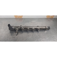 Топливная рампа Mercedes-Benz C-class W204 2011 A6510700595, R9144Z230A, A6510700800, A6510700495, A6510700495, A6510700700, A6510700700, A6510700495, A6510701595