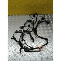 Проводка двери Land Rover Range Rover Evoque I (2011-2018) 2016 GJ3214630JMC, LR074417